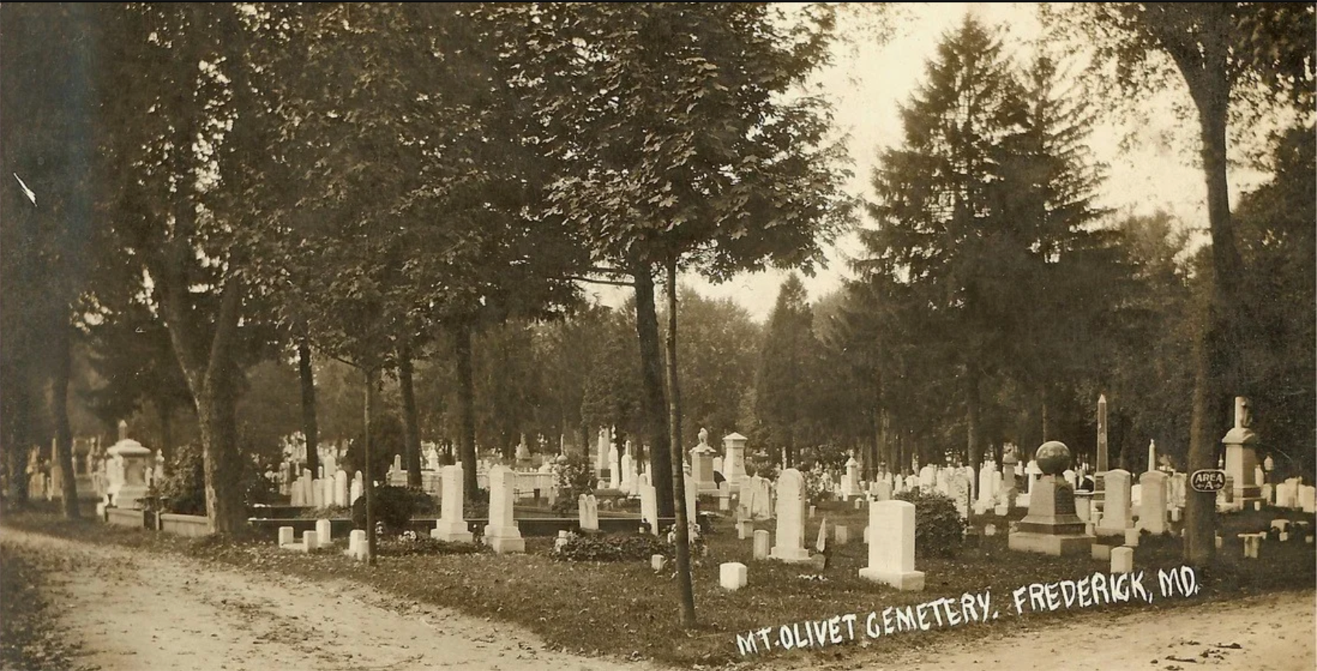 Photograph of cemetery featuring many gravestones and trees.