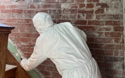 Historic Plaster Repair at Pictured Rocks National Lakeshore